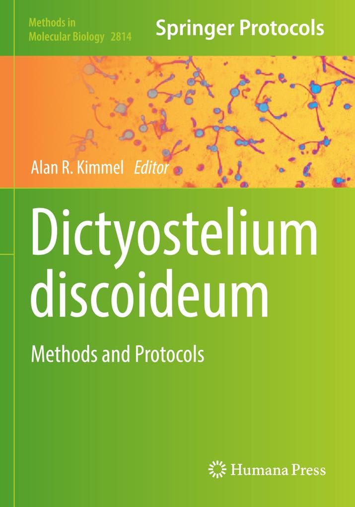 Dictyostelium discoideum