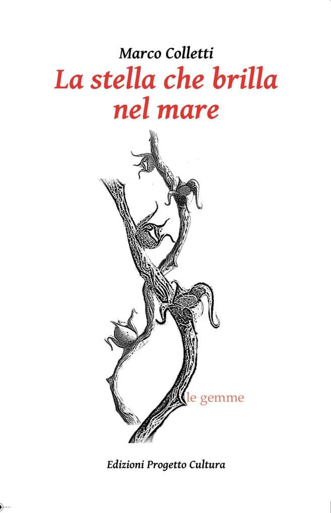 La stella che brilla nel mare