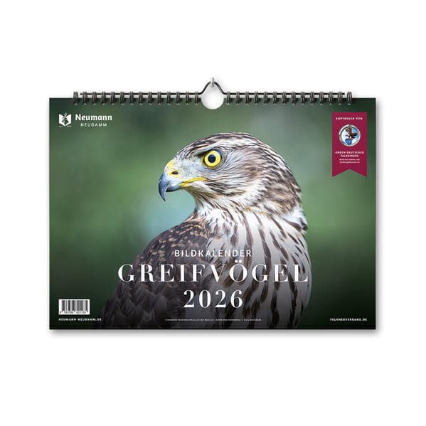 Greifvögel 2026