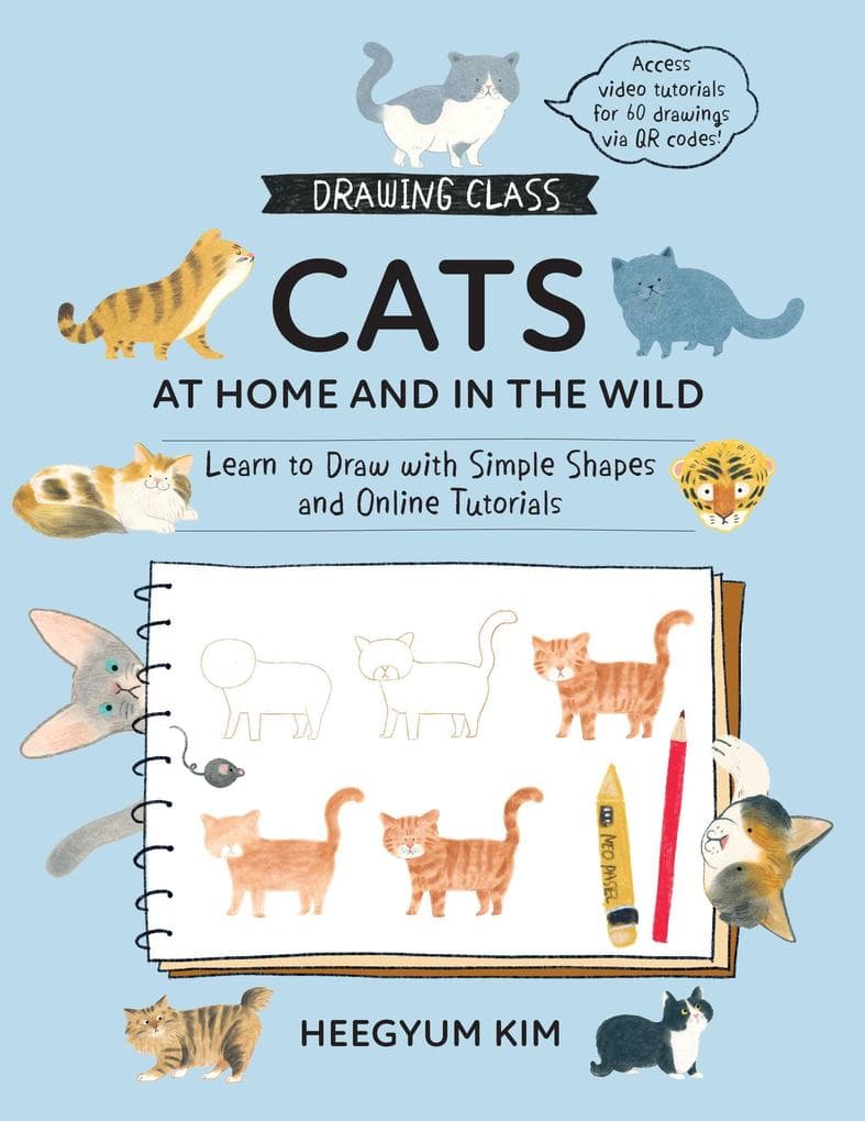 Drawing Class