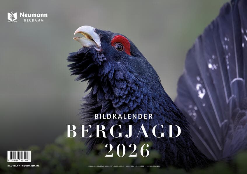 Bergjagd 2026