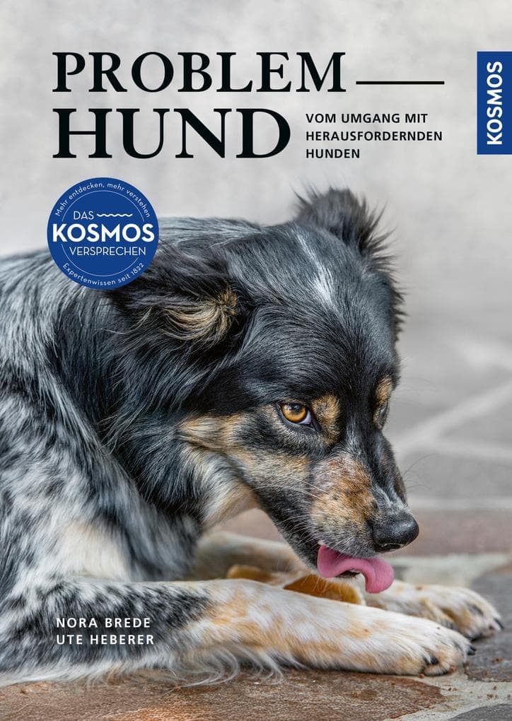 Problem Hund