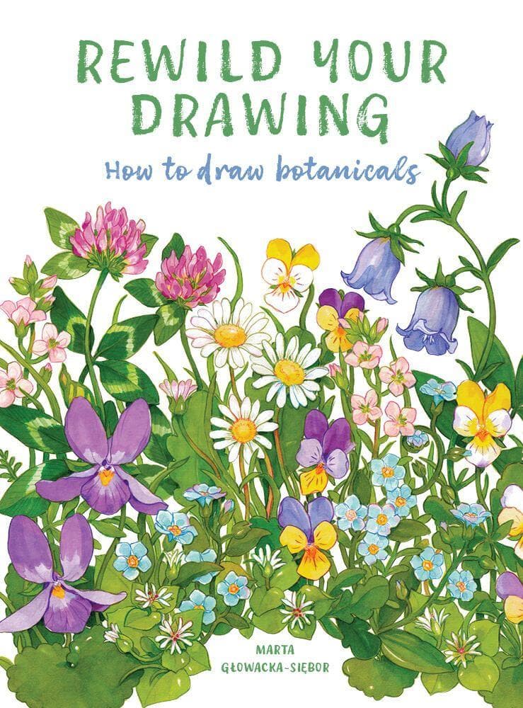Rewild Your Drawing
