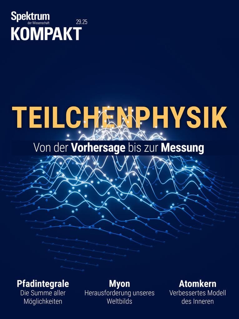 Spektrum Kompakt - Teilchenphysik