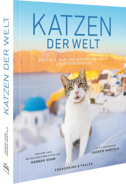 Katzen der Welt