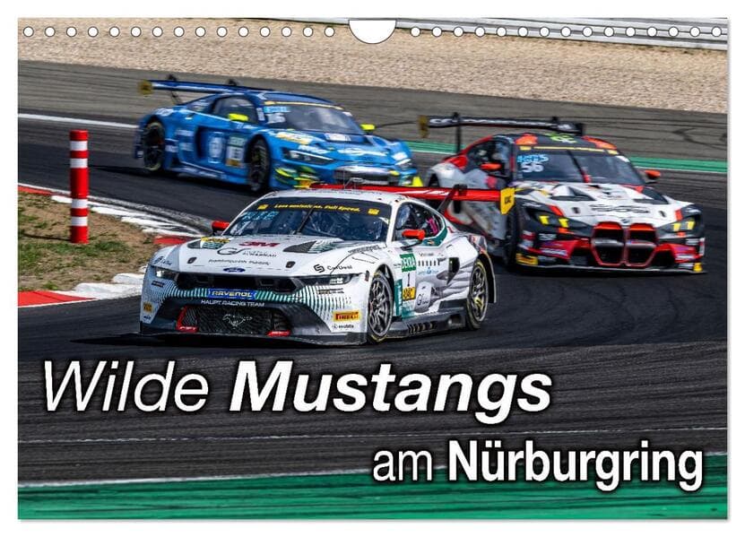 Wilde Mustangs am Nürburgring (Wandkalender 2026 DIN A4 quer), CALVENDO Monatskalender