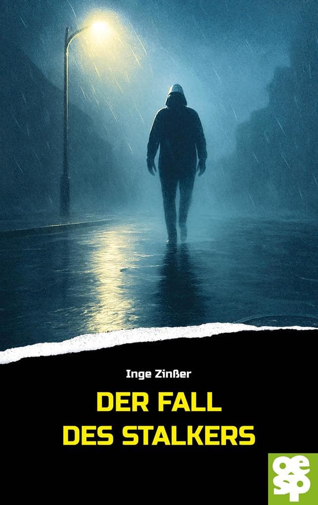 Der Fall des Stalkers