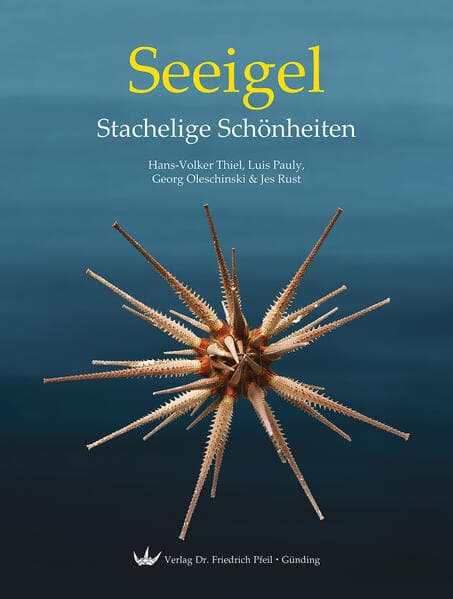 Seeigel - Stachelige Schönheiten