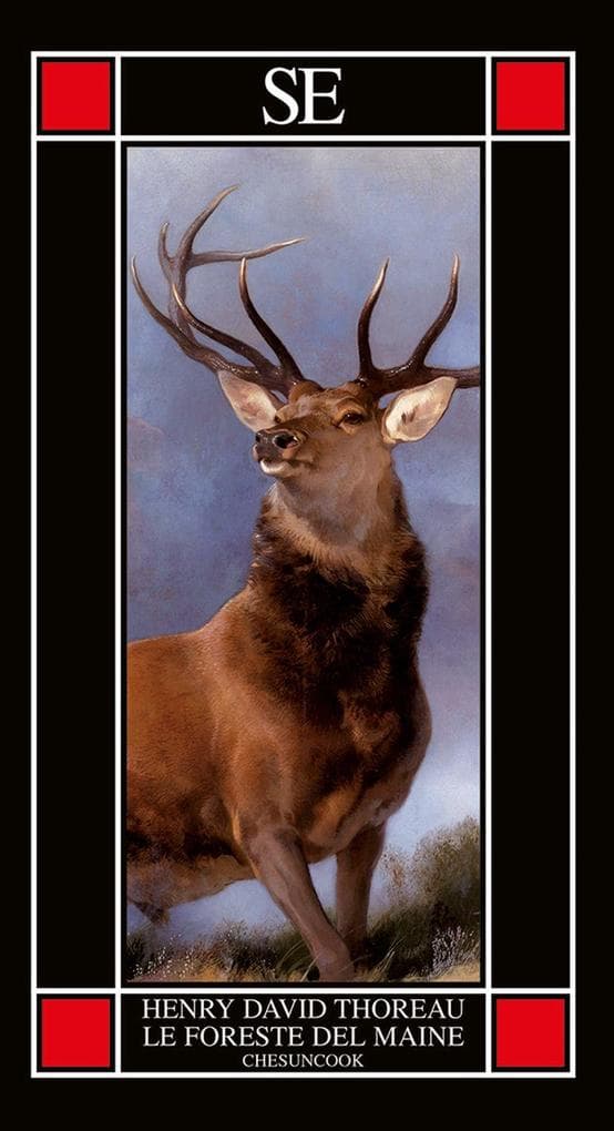 Le foreste del Maine. Chesuncook