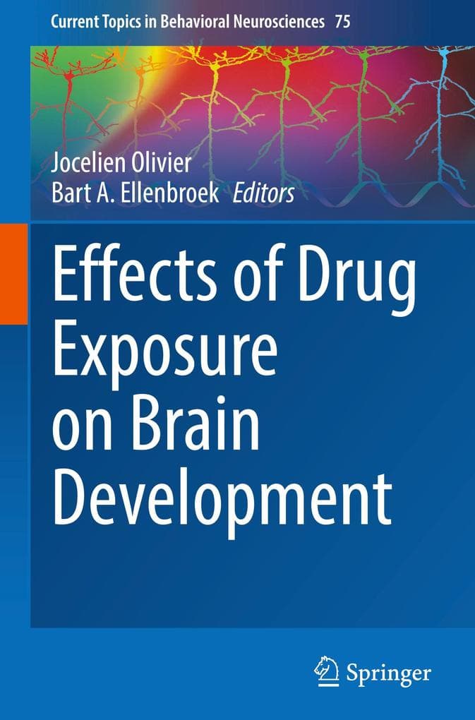 Effects of Drug Exposure on Brain Development