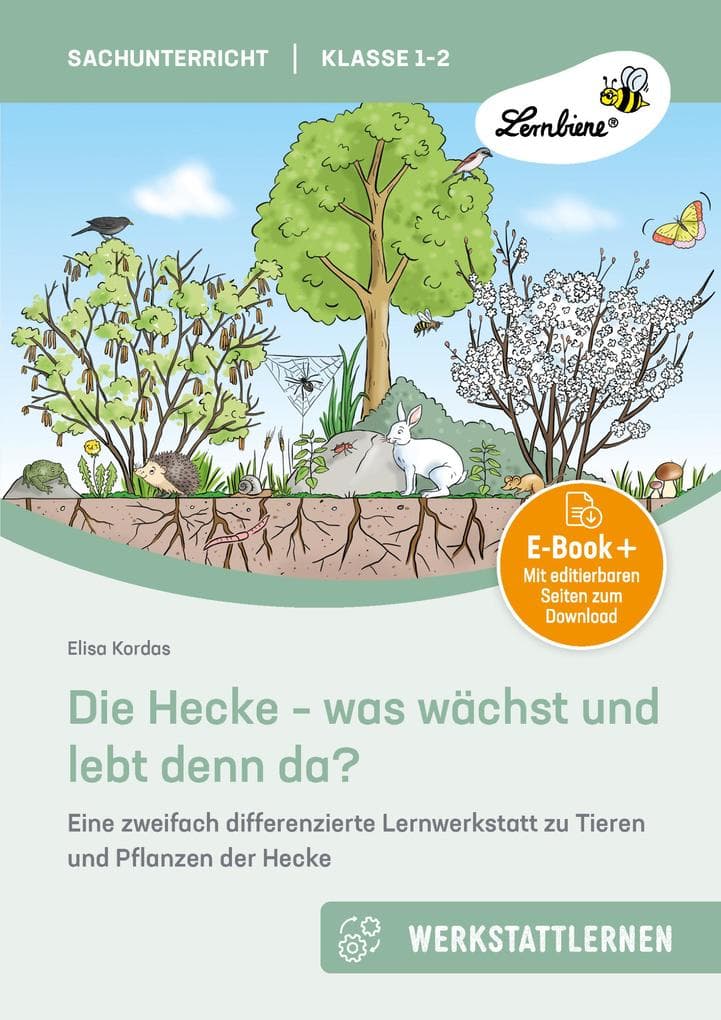 Die Hecke - was wächst und lebt denn da