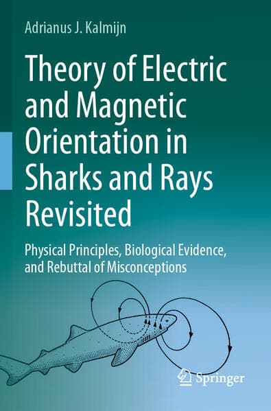 Theory of Electric and Magnetic Orientation in Sharks and Rays Revisited