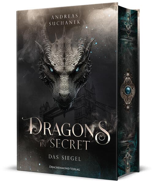 Dragons in Secret - Das Siegel
