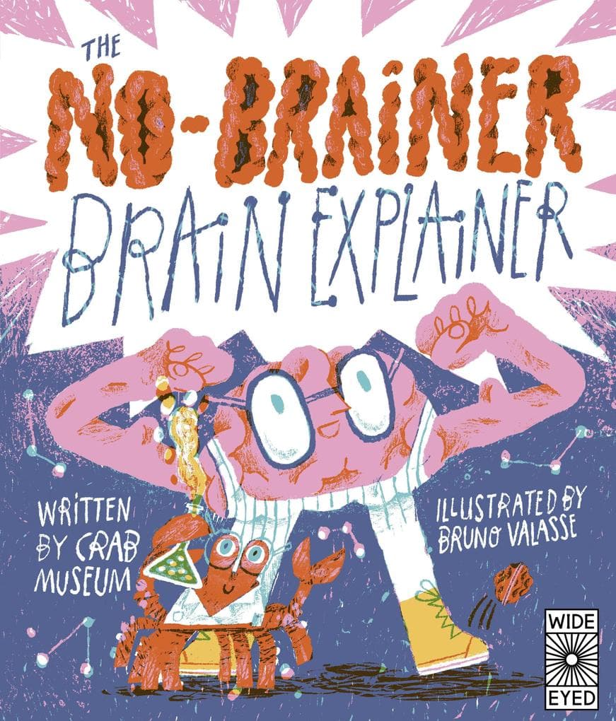The No-Brainer Brain Explainer