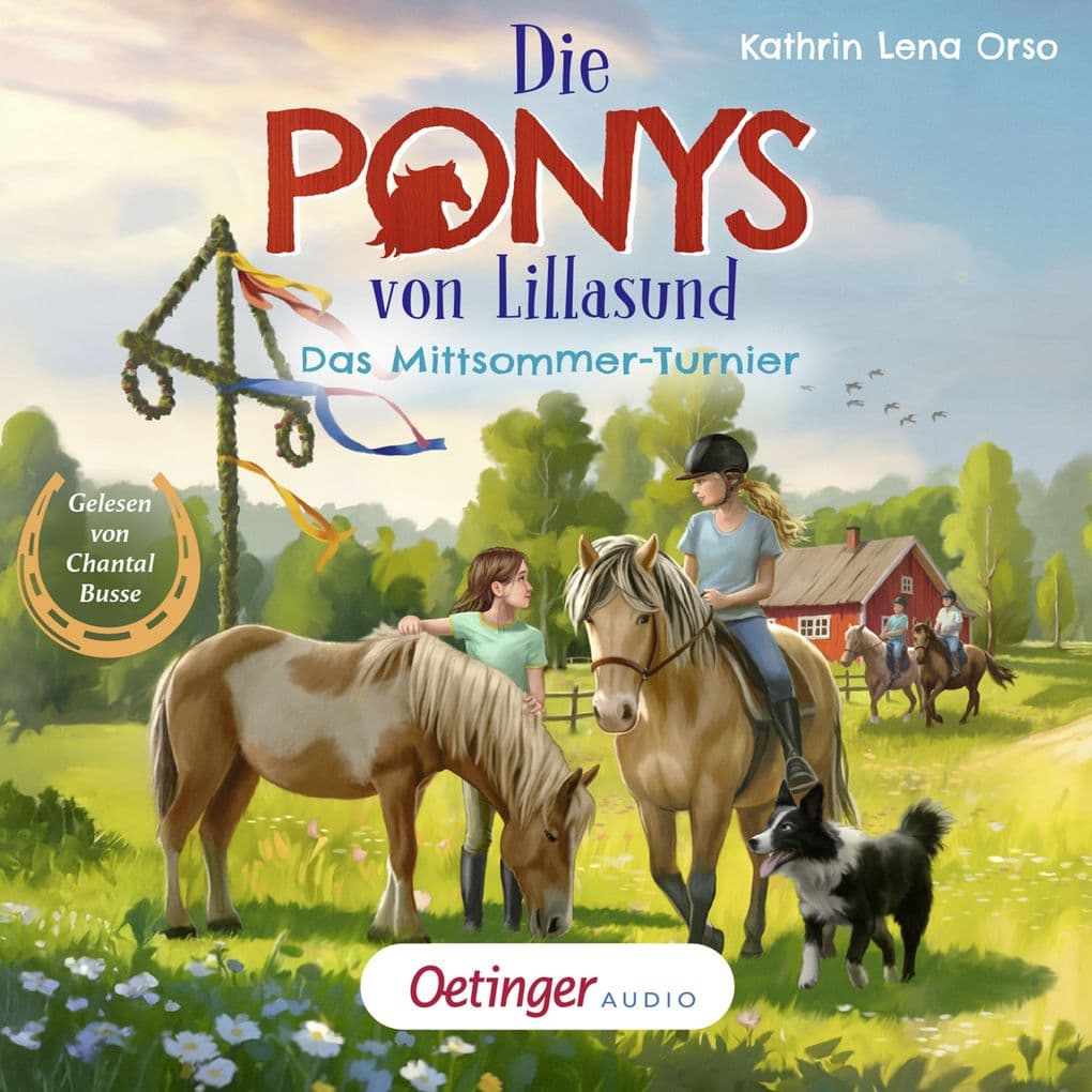 Die Ponys von Lillasund 4. Das Mittsommer-Turnier