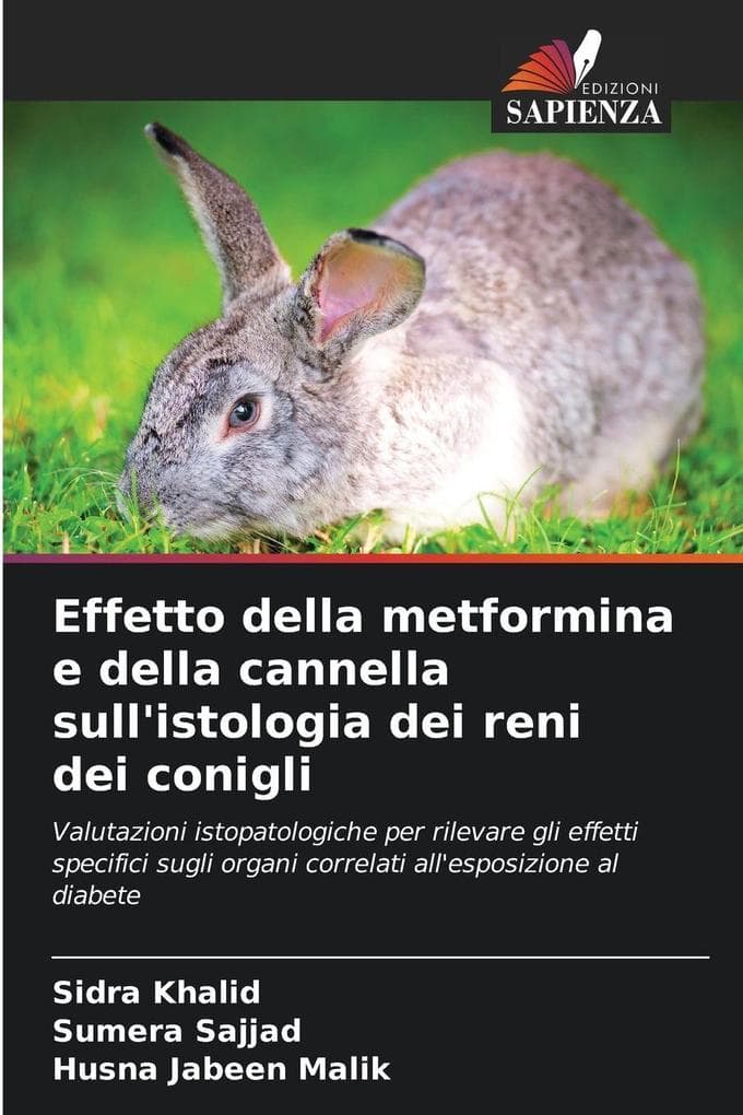 Effetto della metformina e della cannella sull'istologia dei reni dei conigli