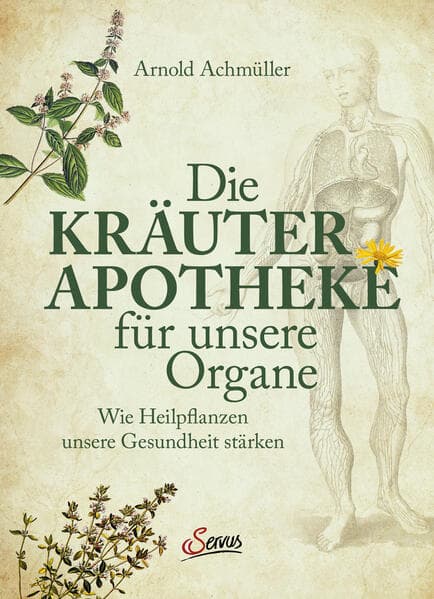 Die Kräuter-Apotheke für unsere Organe