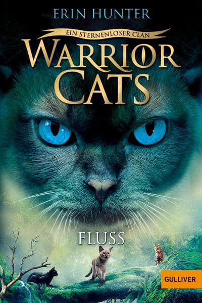 Warrior Cats - Ein sternenloser Clan. Fluss