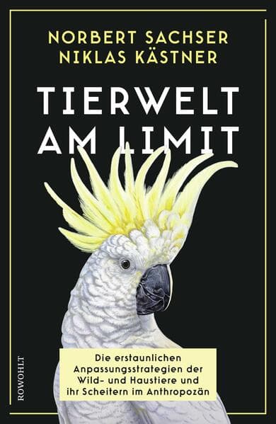 Tierwelt am Limit