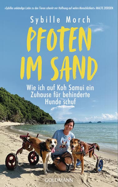 Pfoten im Sand