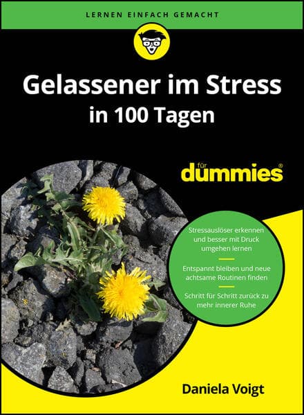 Gelassener im Stress in 100 Tagen für Dummies