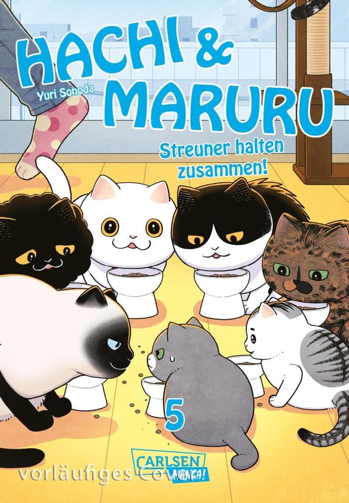 Hachi & Maruru - Streuner halten zusammen! 5