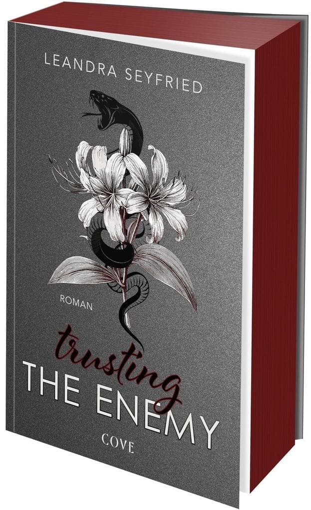 Trusting The Enemy (Sons of Chicago 2)