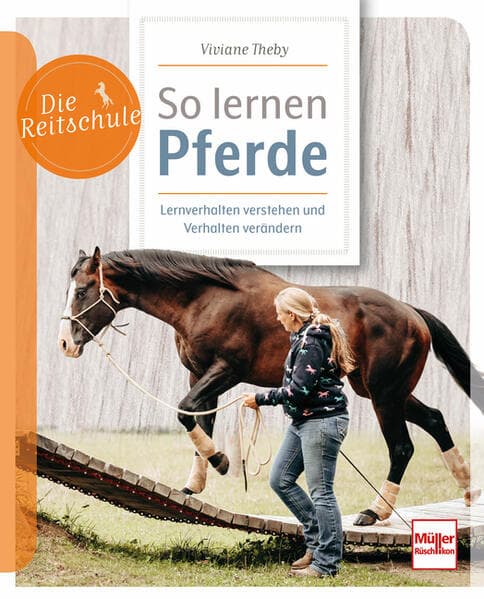 So lernen Pferde