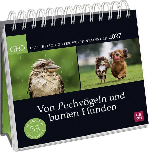 Postkartenkalender 2027: Von Pechvögeln und bunten Hunden