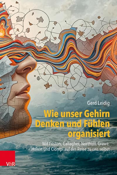 Wie unser Gehirn Denken und Fühlen organisiert
