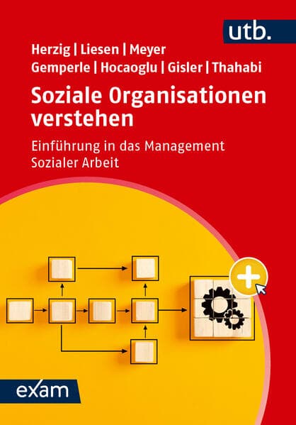 Soziale Organisationen verstehen