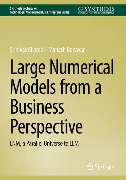 Large Numerical Models from a Business Perspective