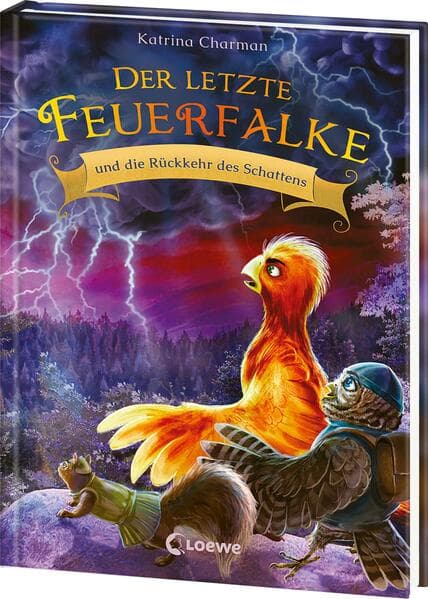 Der letzte Feuerfalke und die Rückkehr des Schattens (Band 12)