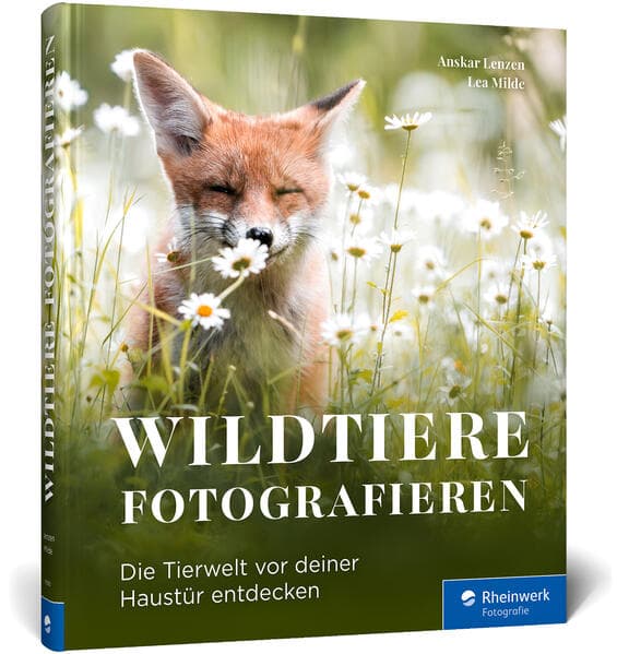 Wildtiere fotografieren