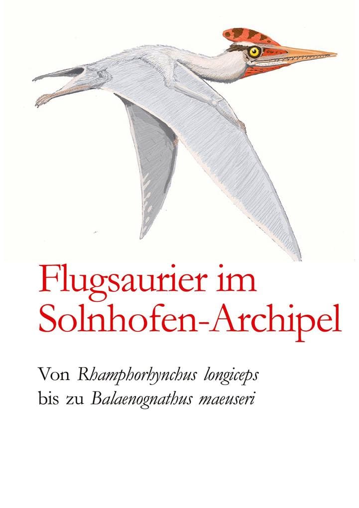 Flugsaurier im Solnhofen-Archipel