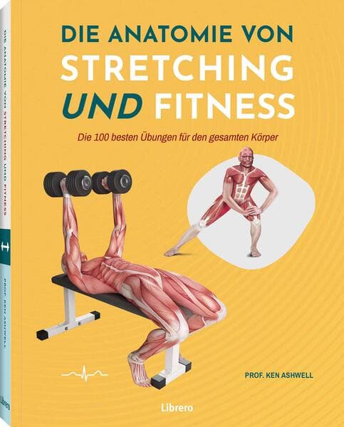 Die Anatomie von Stretching und Fitness