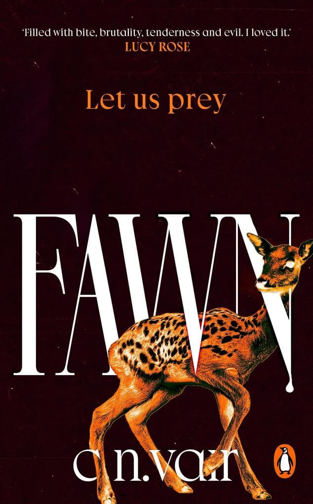Fawn