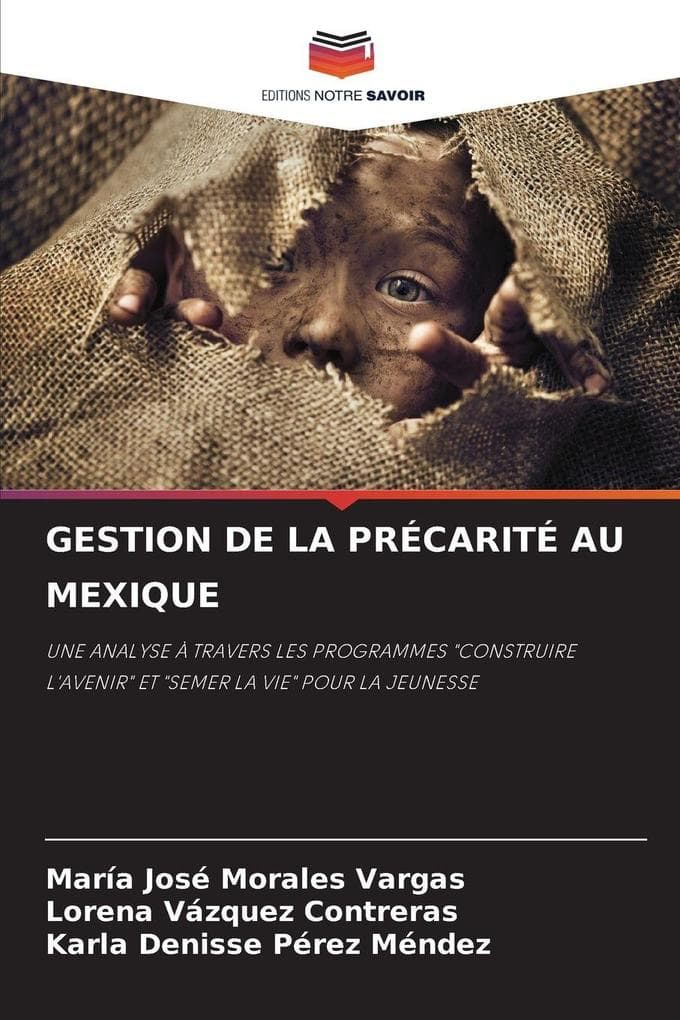 GESTION DE LA PRÉCARITÉ AU MEXIQUE