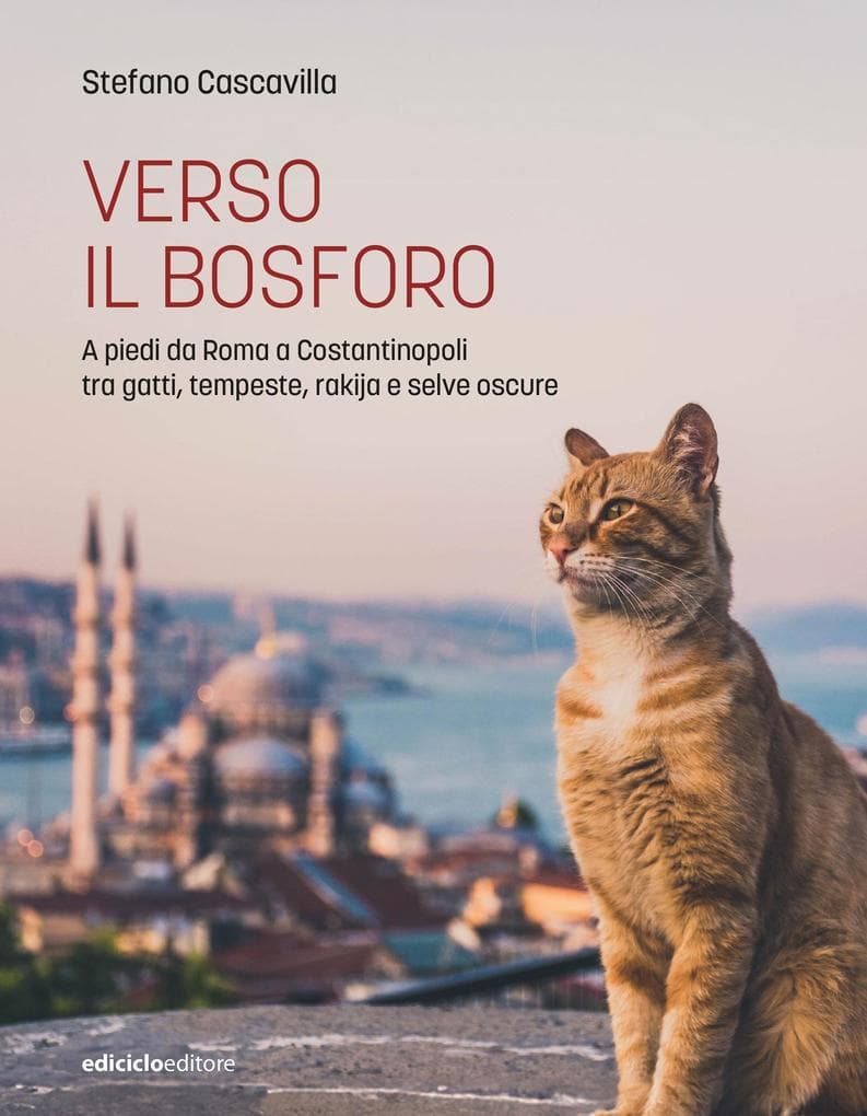 Verso il Bosforo