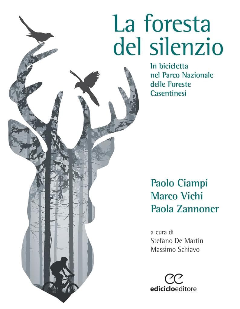 La foresta del silenzio