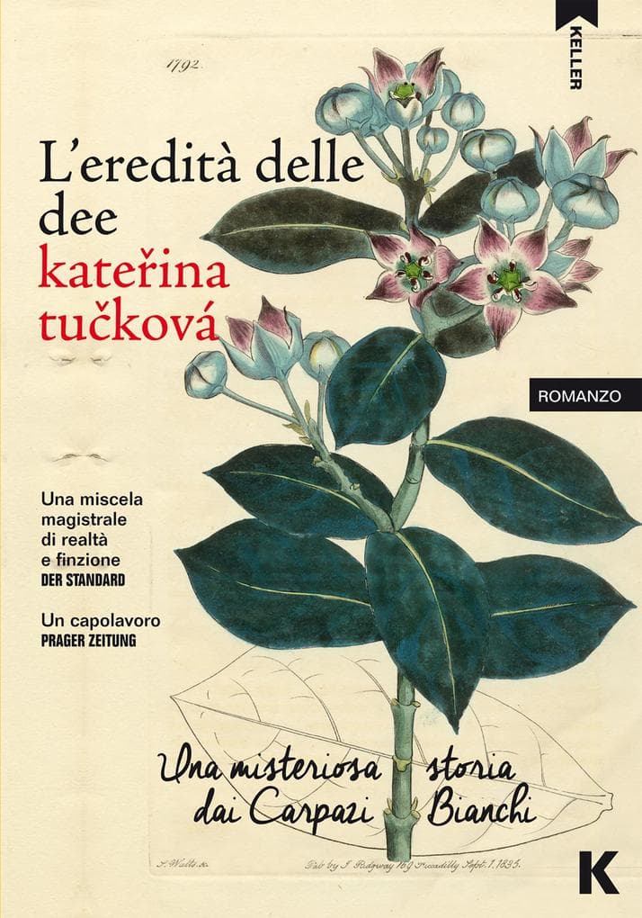 L'eredità delle dee
