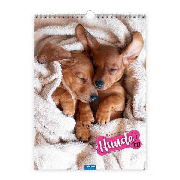 TRÖTSCH - Classickalender Hunde 2027