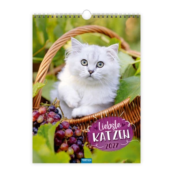 TRÖTSCH - Classickalender Liebste Katzen 2027