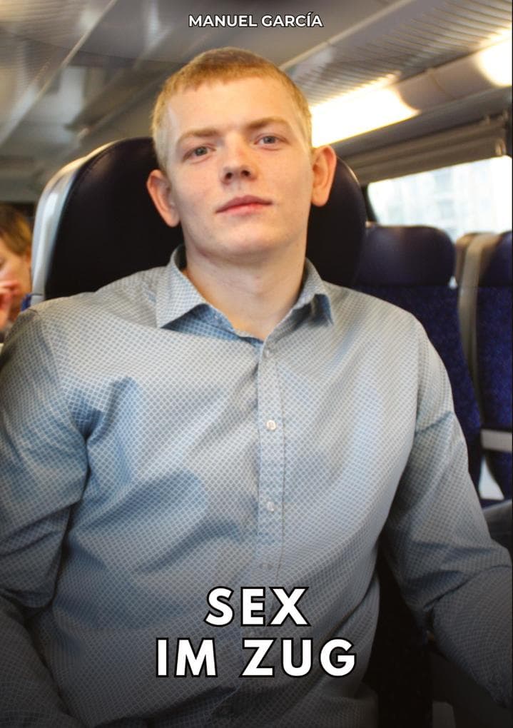 Sex im Zug
