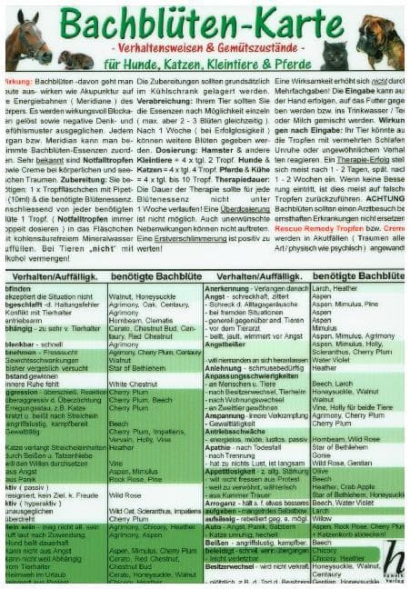 Bachblüten-Karte für Hunde, Katzen, Kleintiere und Pferde. DIN A5