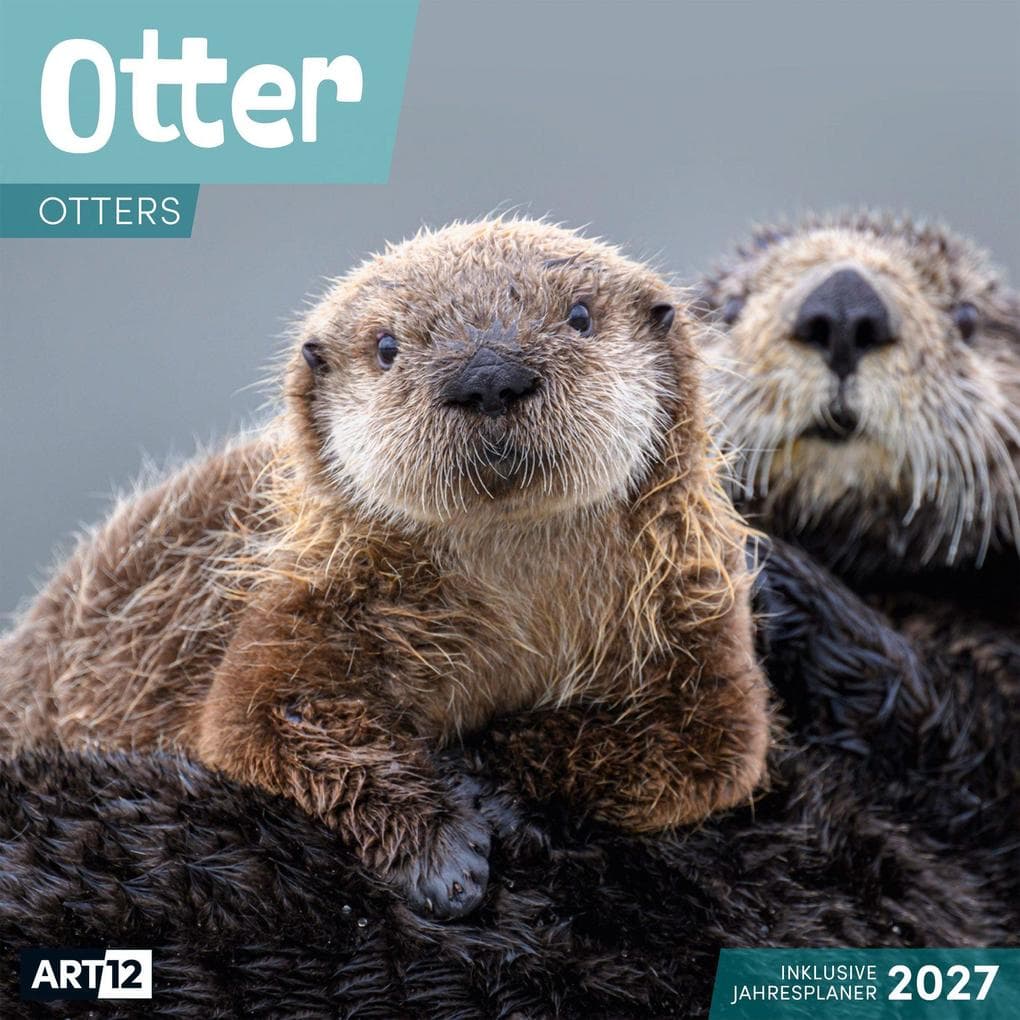 Otter Kalender 2027 - 30x30 - Art12