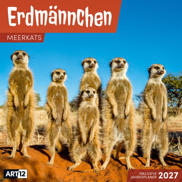 Erdmännchen Kalender 2027 - 30x30 - Art12