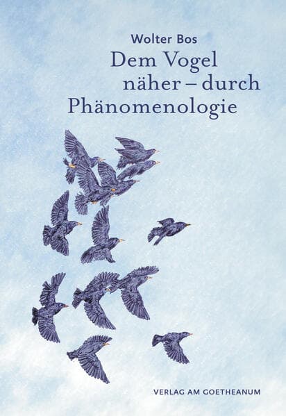 Dem Vogel näher - durch Phänomenologie
