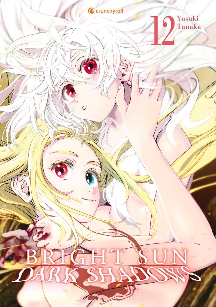 Bright Sun - Dark Shadows - Band 12