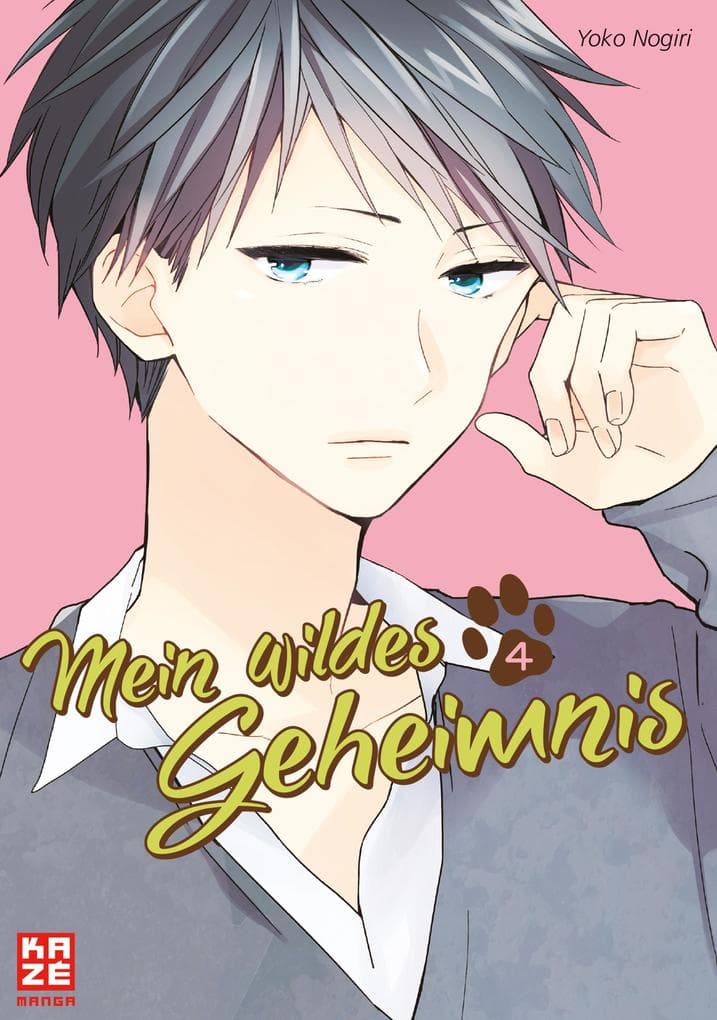 Mein wildes Geheimnis - Band 4 (Finale)